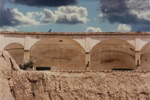 Image description is not available for 2009.080